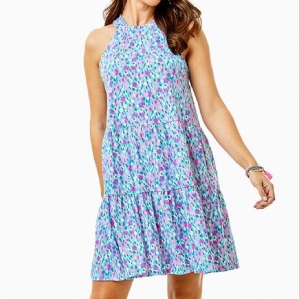 COPY - Lilly Pulitzer Jerrica Dress, EUC size XXL